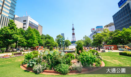 大通公園 大通公園