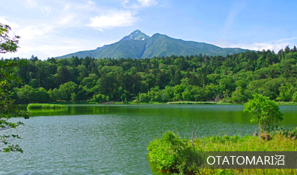 OTATOMARI沼 OTATOMARI沼