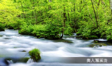 奧入瀨溪流 奧入瀨溪流
