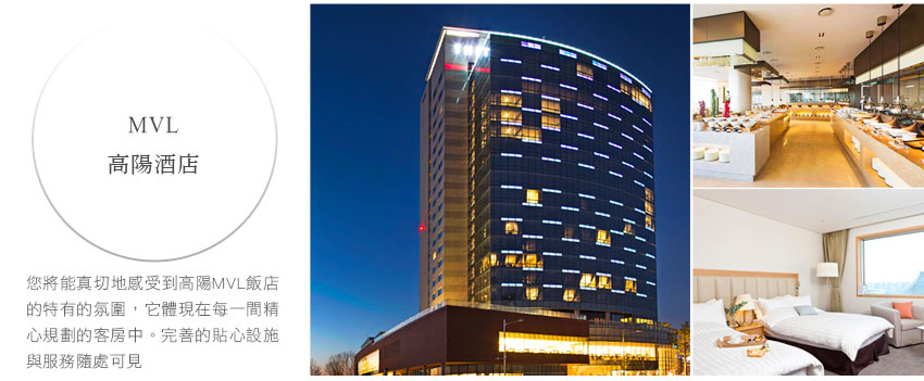 特一五星 MVL HOTEL / The MVL Hotel Goyang