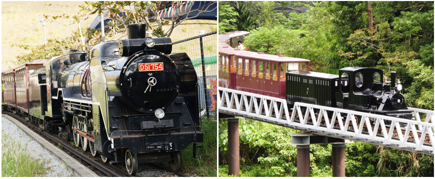 名護自然動植物公園_小火車