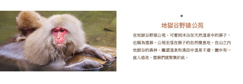 地獄谷野猿公苑