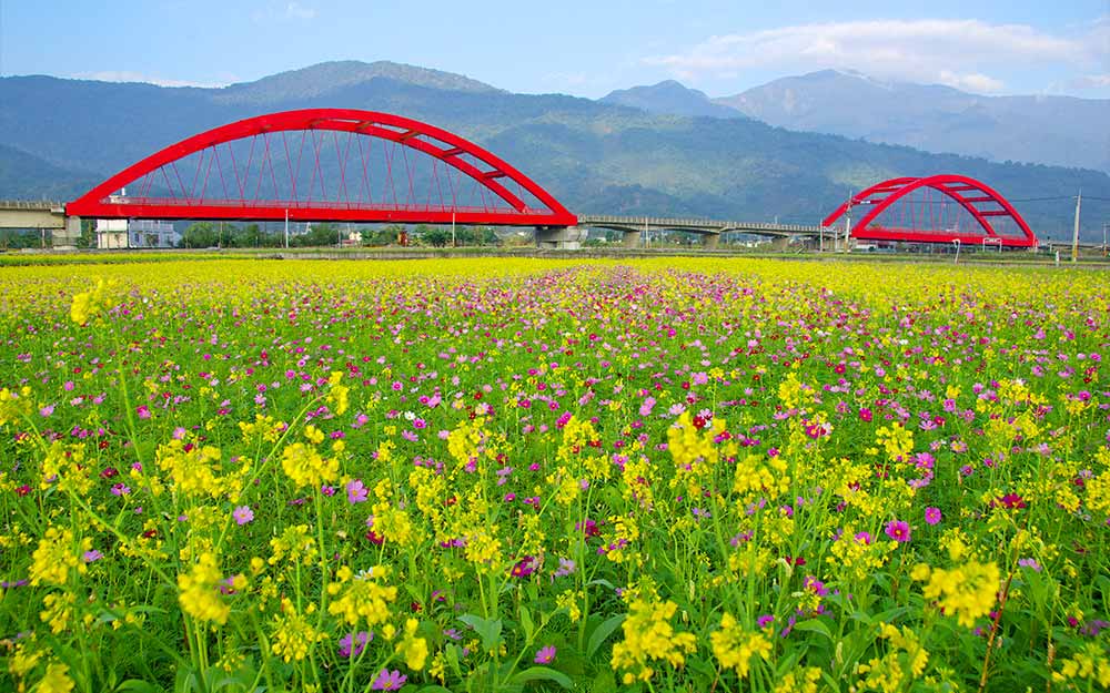 玉山東麓生態巡禮、南安部落低碳慢行２日【115年國家公園低碳生態旅遊】