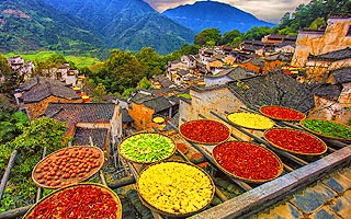 TXN05MU1801 cover photo