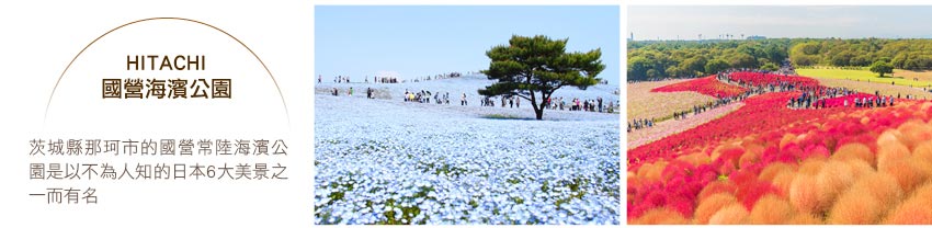 HITACHI_國營海濱公園