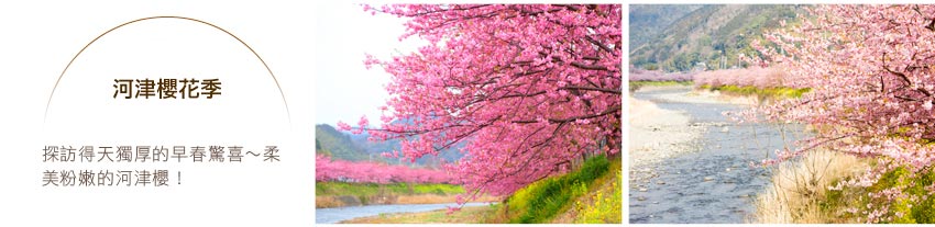 河津櫻花季