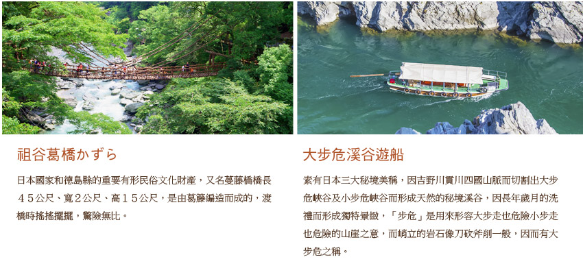 祖谷葛橋.大步危溪遊船