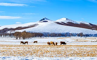 ULN0619OM cover photo