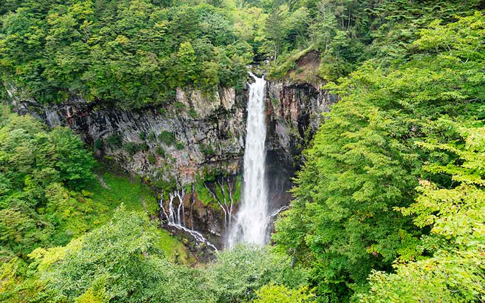 TYO05ITPAK05 cover photo