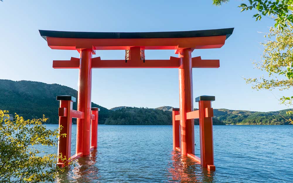 NGO06JX01TYO cover photo