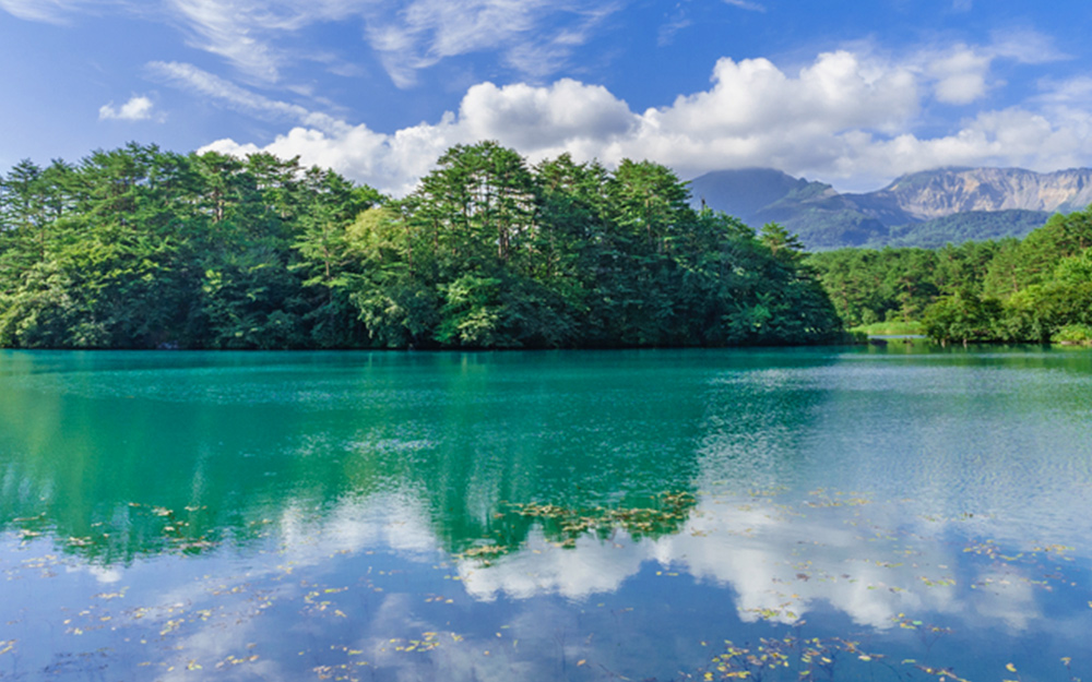 TYO06ITPAK03 cover photo