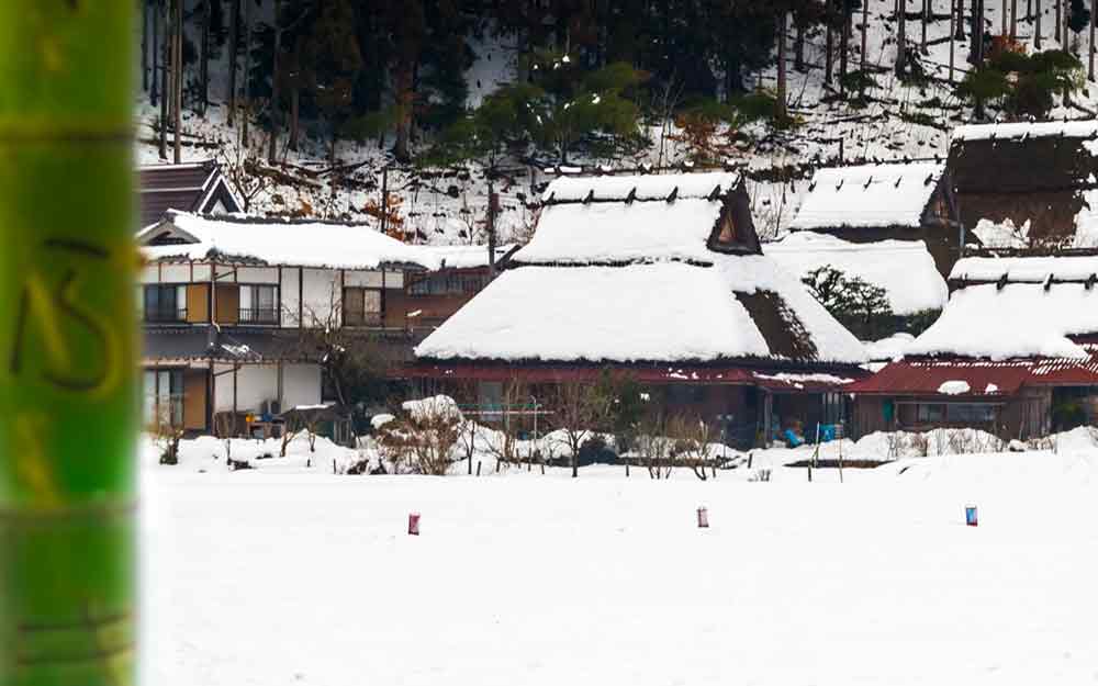 關西京阪神奈５日-和服體驗、京都塔、嵐山屋形船、美山合掌村、卡哇伊梅花鹿、水上巴士、阿倍野展望台、米其林料理(台中出發)