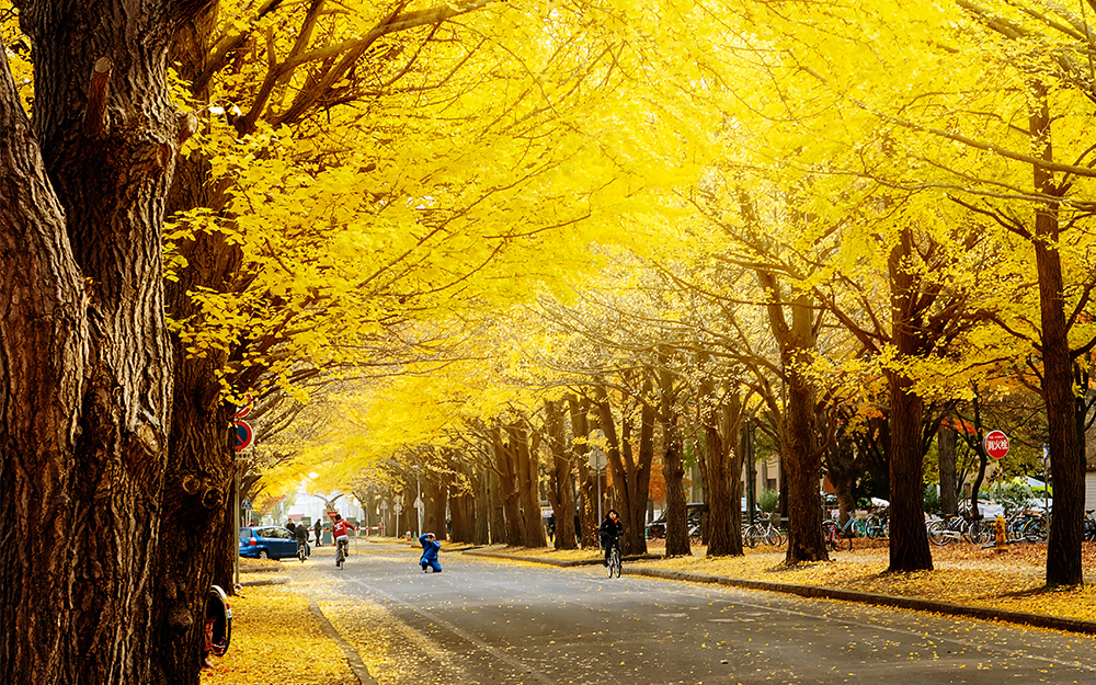 SPK051200000 cover photo