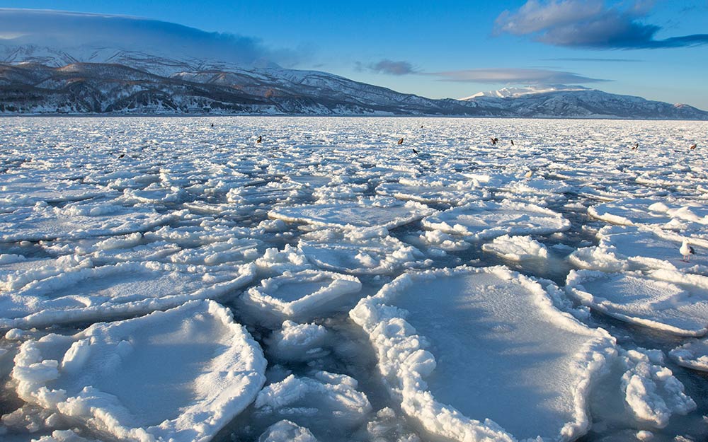 SPK0714SHA88 cover photo