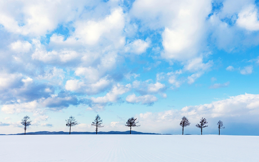 冰雪奇緣北海道東京７日-時尚東京、雪見漂流、銀白繪本童話之丘、旭川動物園、冬季限定夢幻祭典、7合1雪上活動、三大螃蟹放題 cover photo