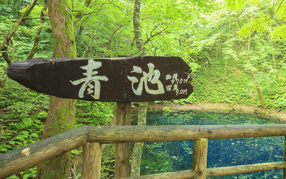 SDJ07BR88 cover photo