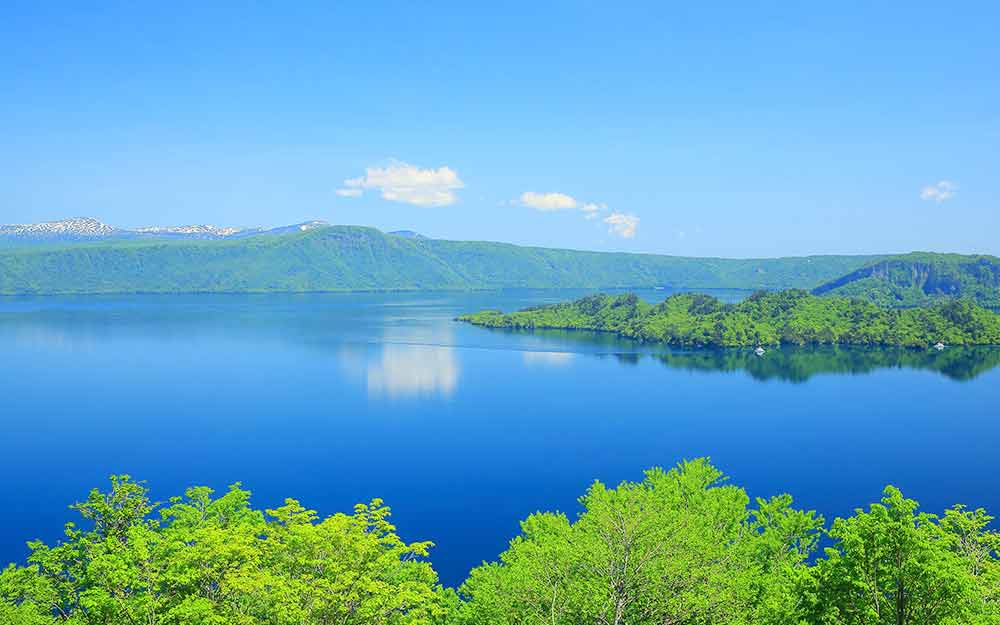 AOJ05BRA cover photo