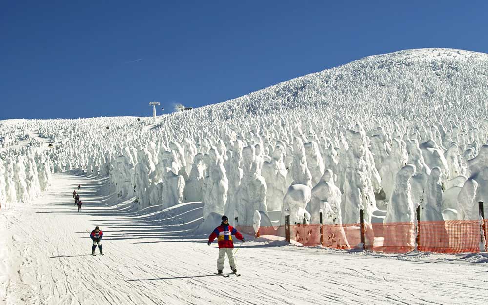 雪紛飛花卷５日－森吉山樹冰、暖爐列車、奧入瀨溪流、採水果、男鹿GAO水族館(行程不進店)