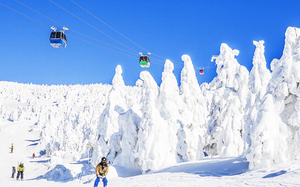 SDJ05ITKIJ88 cover photo