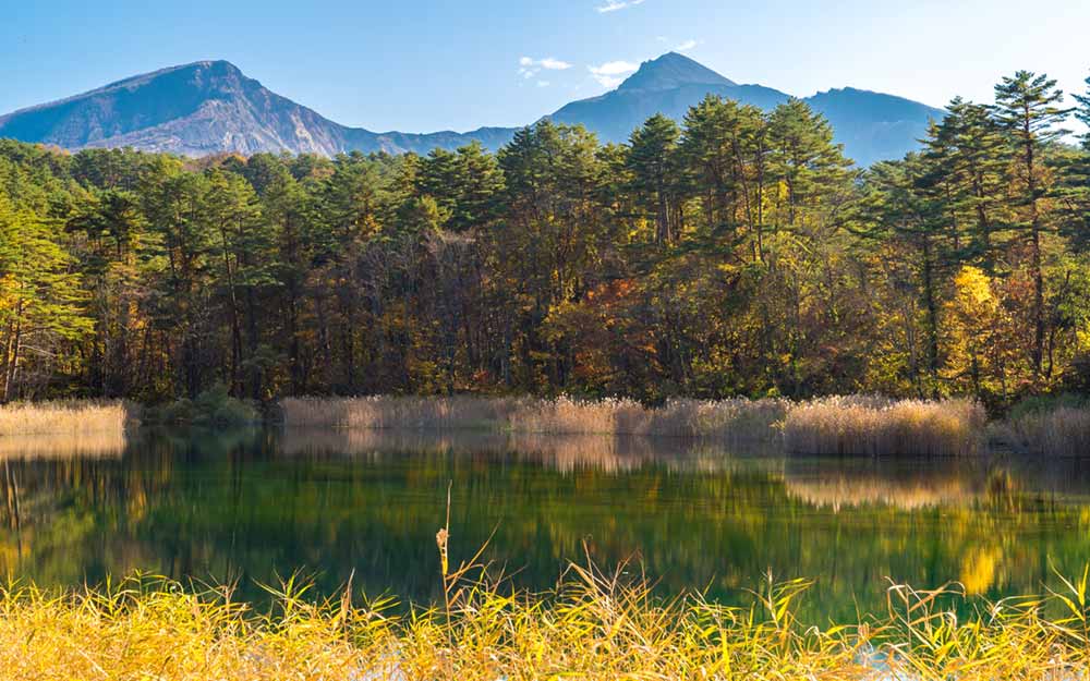 SDJ05JX8888 cover photo