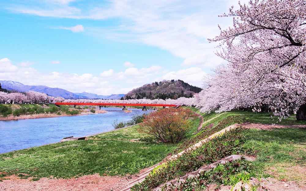 AOJ06BR01 cover photo