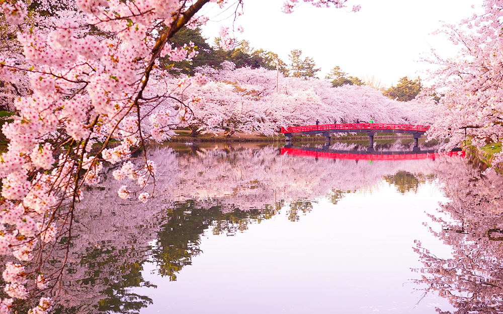 AOJ05BR02 cover photo