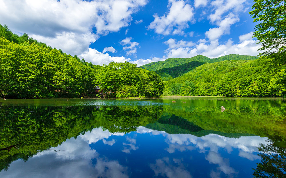 SDJ06JX01 cover photo