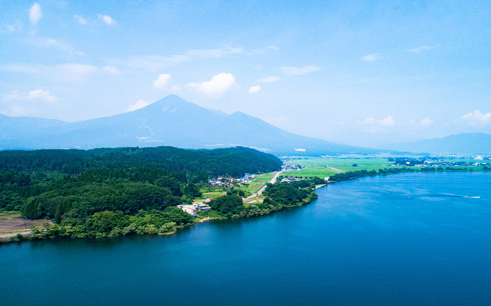 SDJ08IT88 cover photo