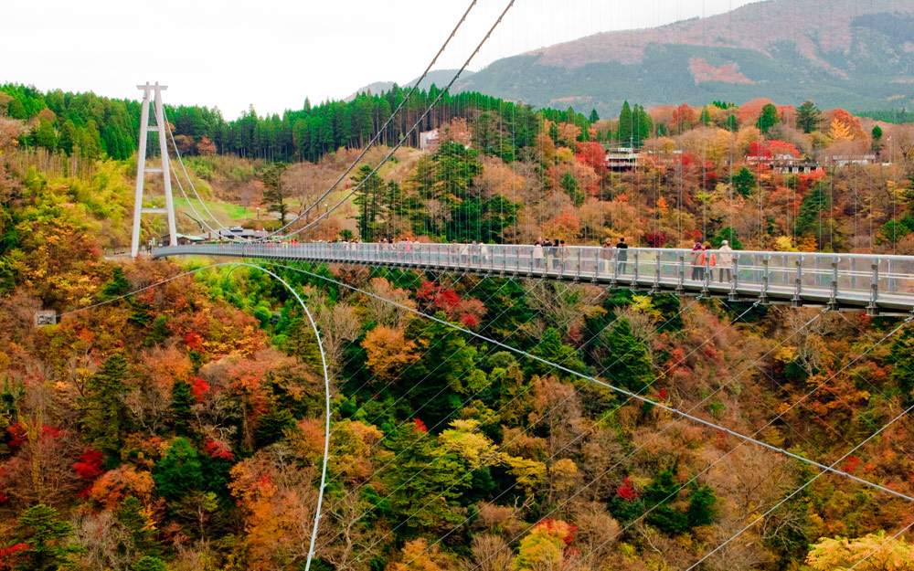 FUK04JXSS2 cover photo