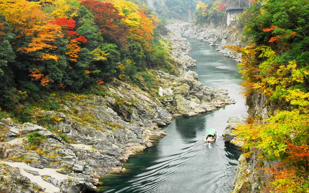 TAK05PAK04 cover photo