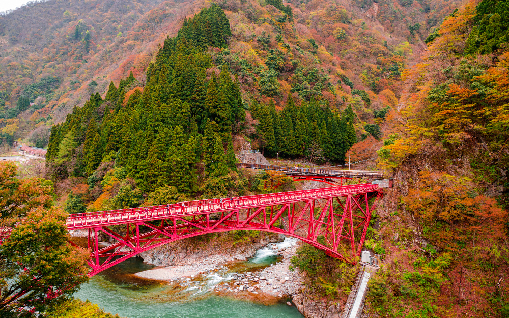 NGO06JX15 cover photo