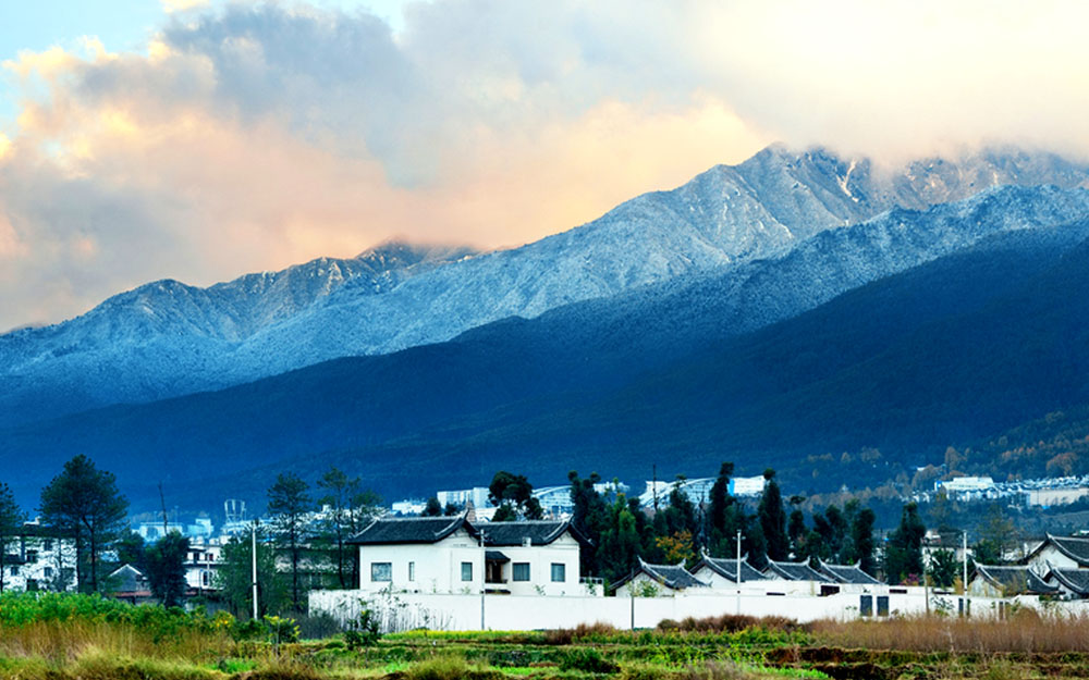  cover photo