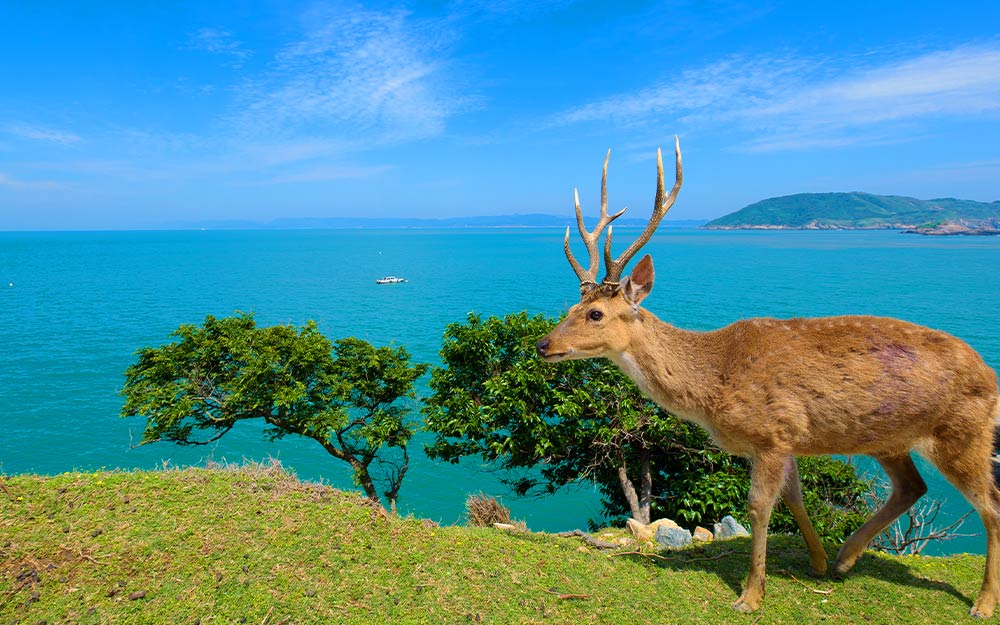 MZU03TSA13 cover photo