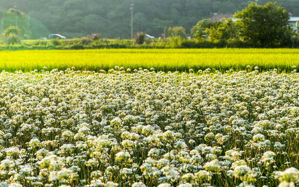 TYC02220113A cover photo