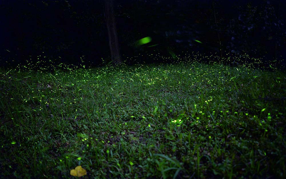 TPE01B40S cover photo