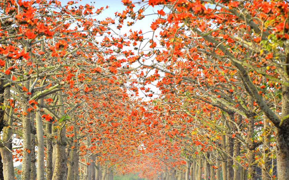 TNN01TXG01 cover photo