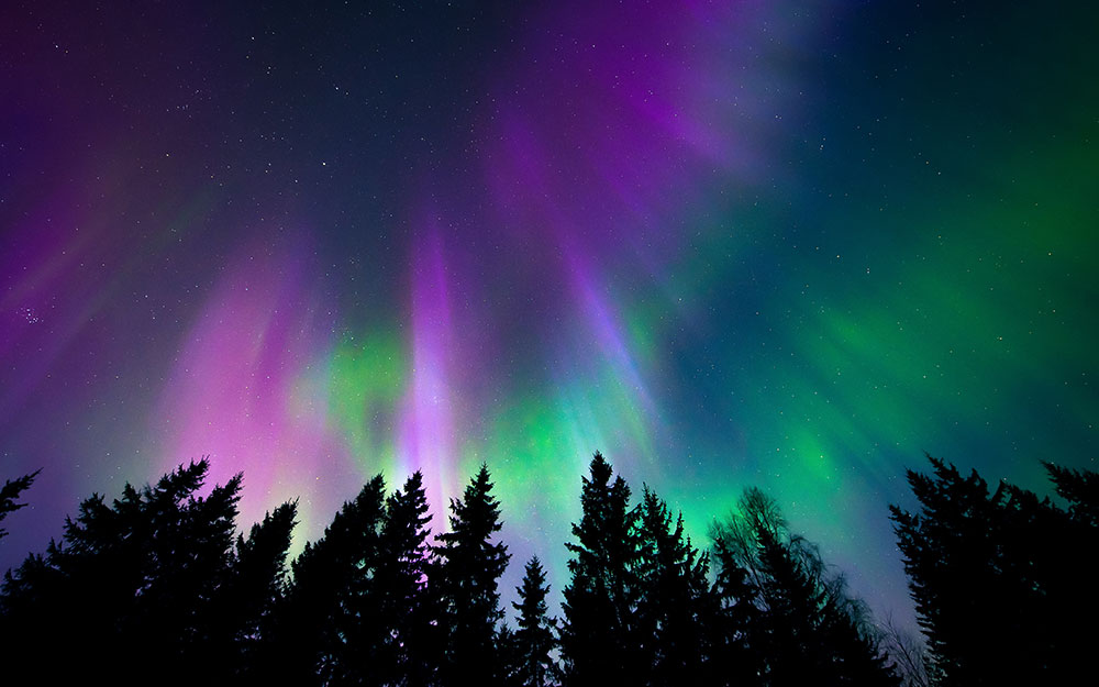 AUS08260601A cover photo