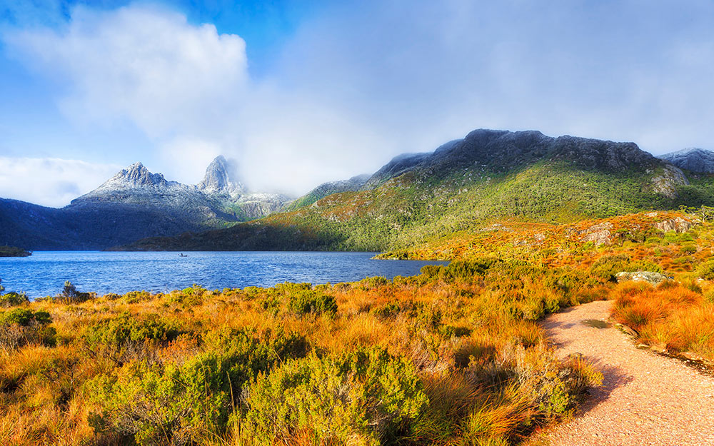 AUS08260325A cover photo