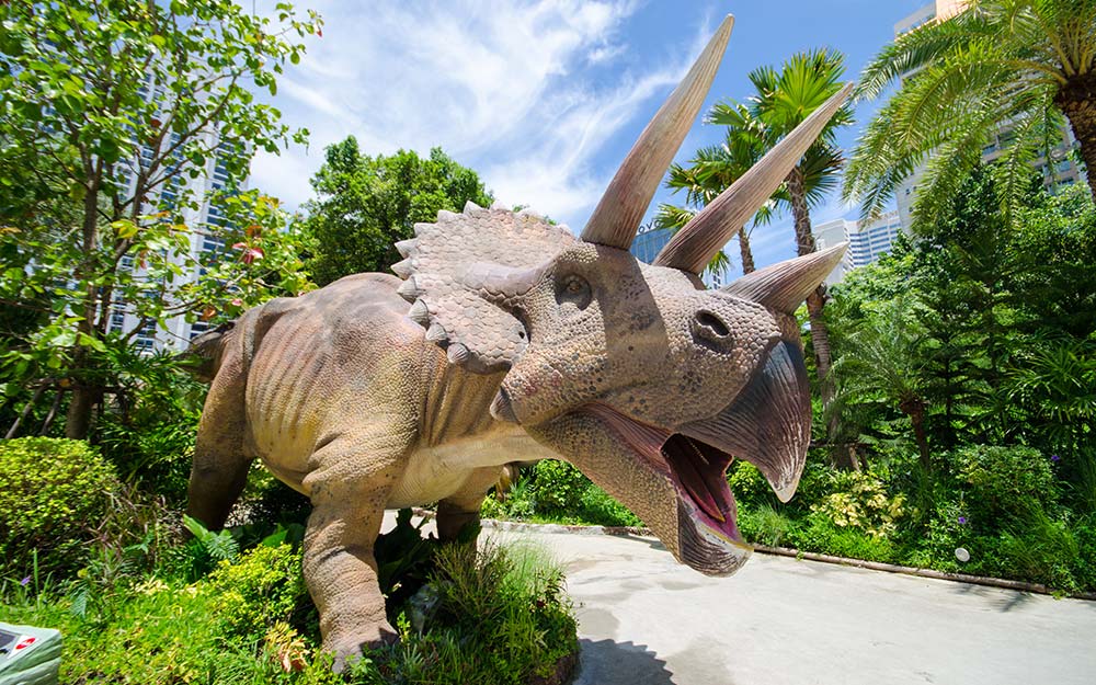 BKK06230121A cover photo