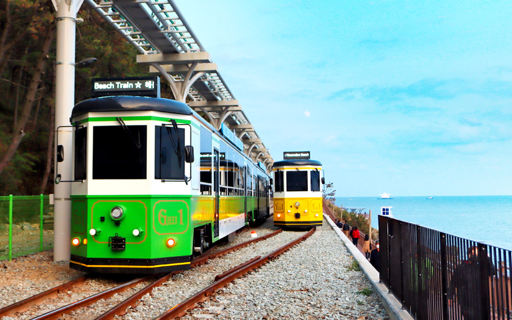 PUS05K12 cover photo