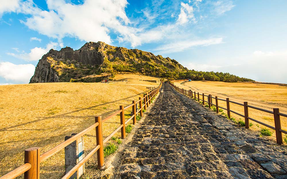 CJU0525TWTF cover photo